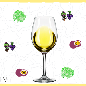 IGP COTES DE GASCOGNE SAUVIGNON 2025