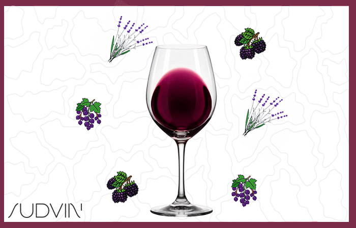 VIN DE France PIWI ROUGE 2025